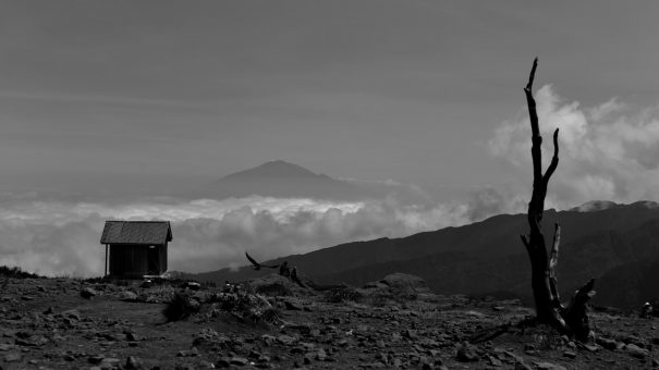 content-width-new-africa-1